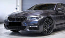 Grilles de calandres BMW série 5 G30 G31 pre-LCI 17-20